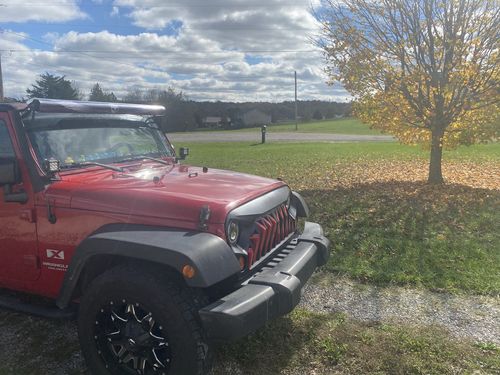 Customer photo review of Christmas Lights