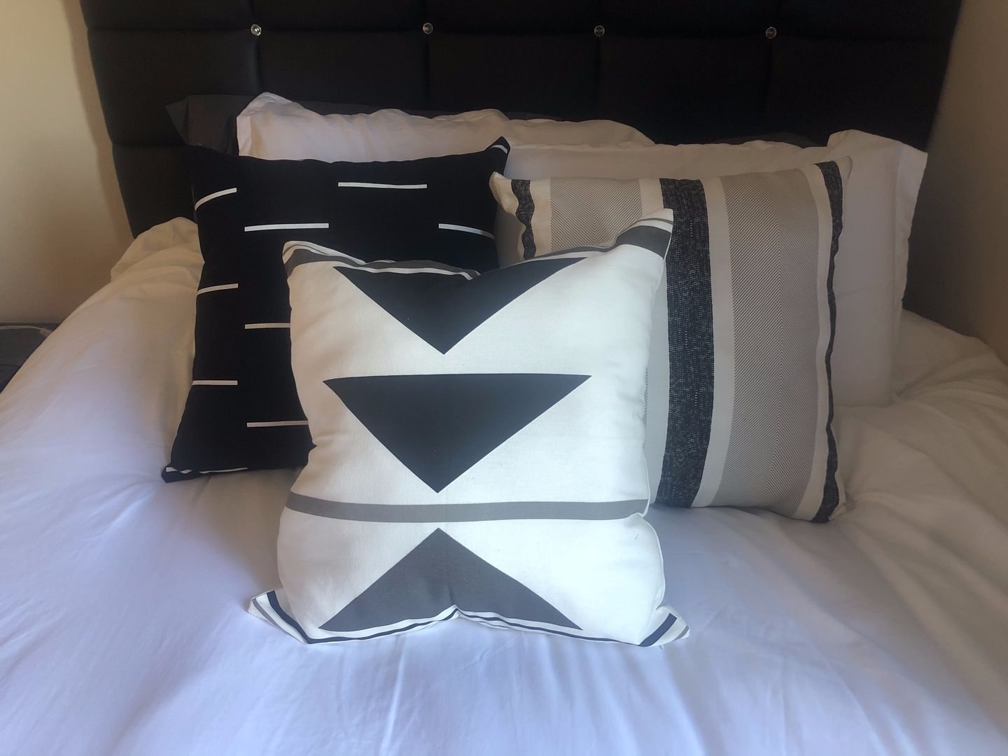 Customer photo review of Zulu 4-Pack - 18" | 20" | 22"