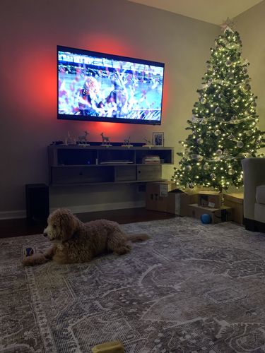 Customer photo review of Distressed Vintage Kendra Ash Area Rug
