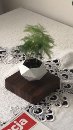 Vaso com Levitação Magnética