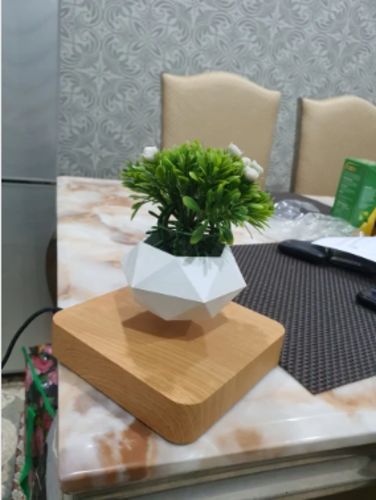 Vaso com Levitação Magnética