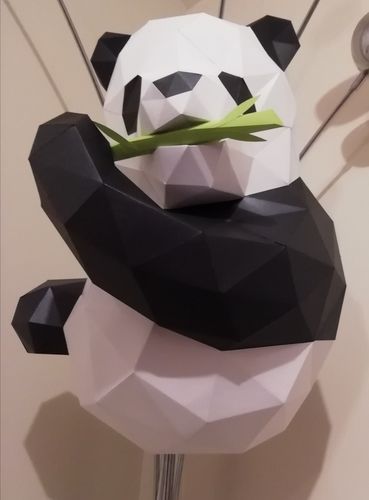 Customer photo review of Pikachu