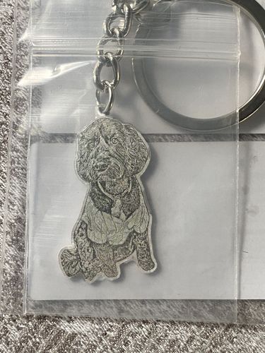 Customer photo review of Silvercut™ Keychain