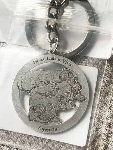 Customer photo review of Silvercut™ Keychain