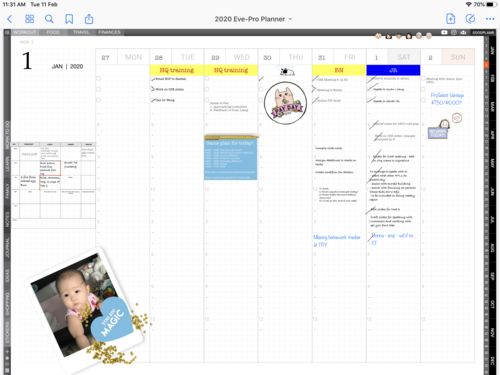 Customer photo review of Eve Pro 2.0 undated / D.I.Y. digital planner