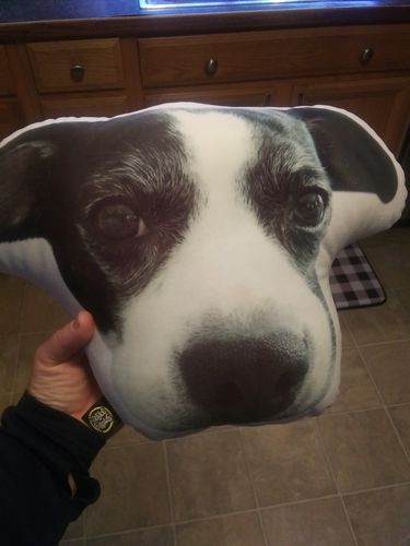 Customer photo review of Custom Animal Pillow