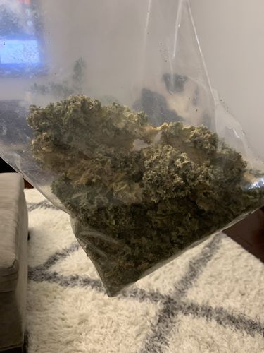 Customer photo review of Kale Chips - Sea Salt & Vinegar 1lb