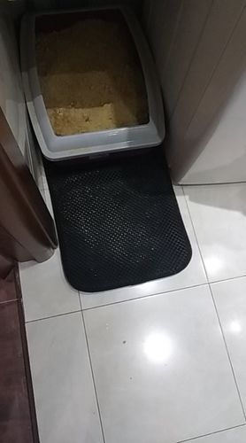 Customer photo review of Kitty Litter Genie Mat