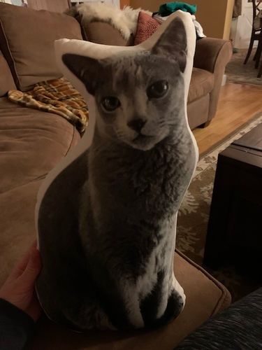Customer photo review of Custom Cat Pillow