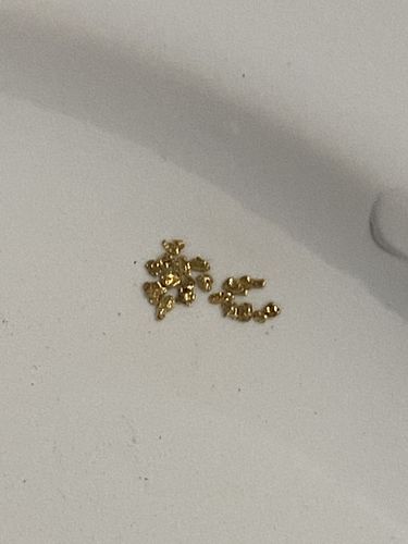 Customer photo review of '$150 NUGGET RUSH' Gold Paydirt - *1 in 3 Bags Contains a Nugget Valued $150* - Jackpot Paydirt