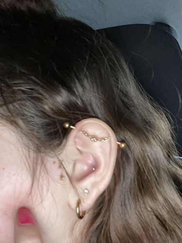 Chain Industrial Earring Flash Sales 