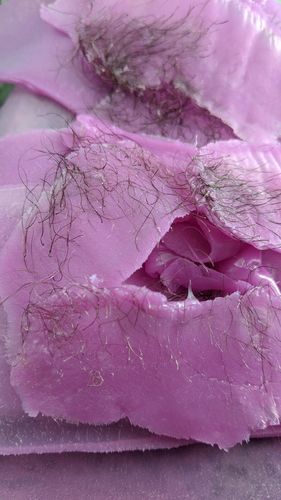 Customer photo review of At-Home Signature Series Hair Removal Wax
