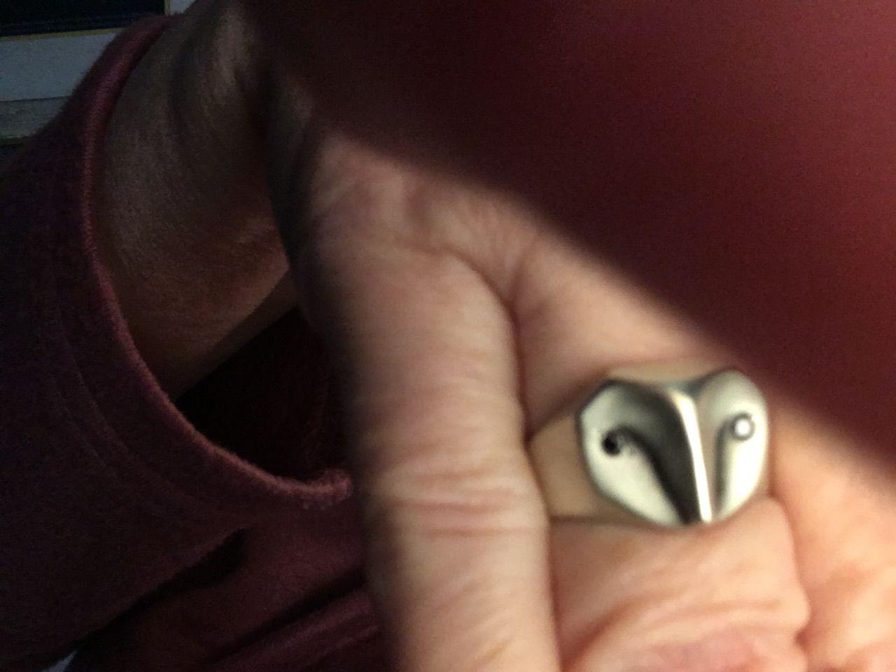 Customer photo review of Black Diamond Owl Ring