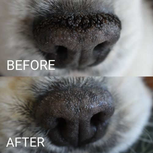 Customer photo review of Tips & Toes - Nose and Paw Balm