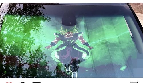 Customer photo review of Broly Car Sun Shades 918b Universal Fit