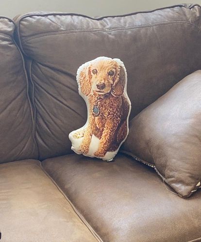 Customer photo review of Custom Dog Pillow