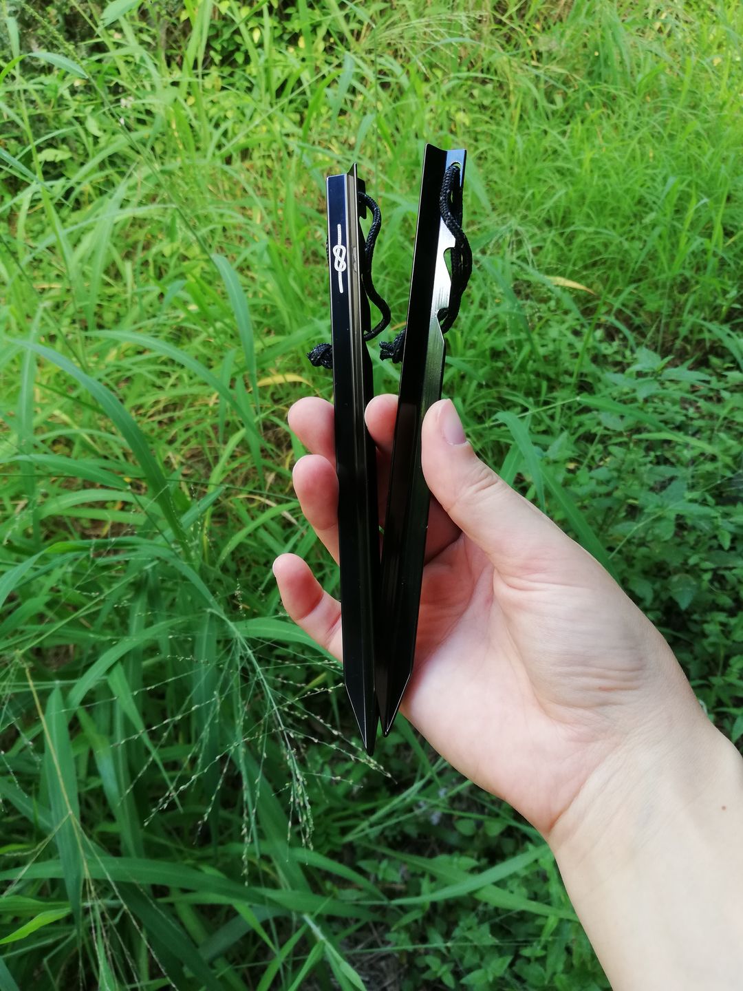 Customer photo review of Ultralight Aluminium Pegs (8 Pack)