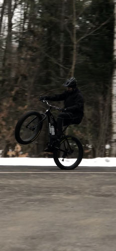 Customer photo review of Wolftrax Fat Bike 27.5"