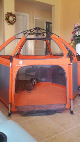 Customer photo review of Pop N' Go® Playpen