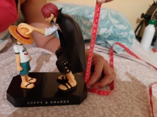 Customer photo review of Straw Hat Luffy & Red Hair Shanks