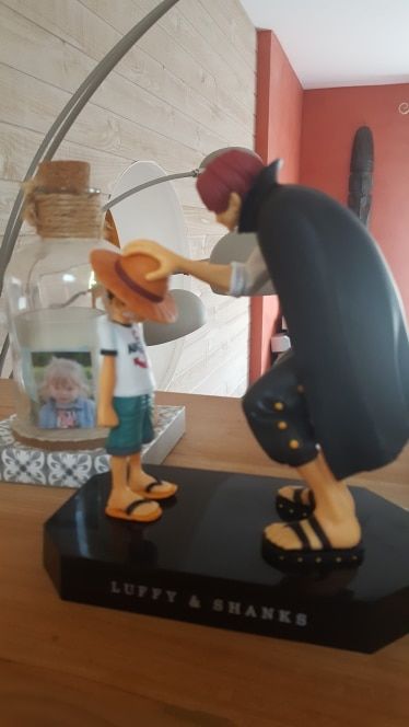 Customer photo review of Straw Hat Luffy & Red Hair Shanks