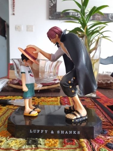 Customer photo review of Straw Hat Luffy & Red Hair Shanks