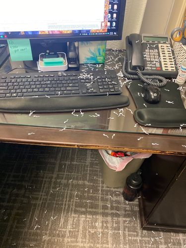 Customer photo review of Spring Loaded Jizz Bomb!