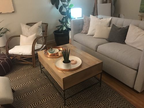 Customer photo review of Pillow Insert | Square Sizes