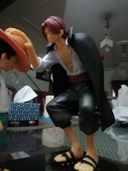 Customer photo review of Straw Hat Luffy & Red Hair Shanks