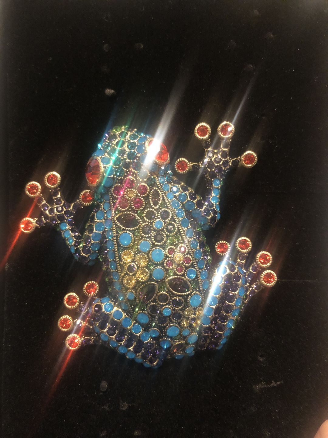 Customer photo review of "Kiss Me" Crystal Frog Pin