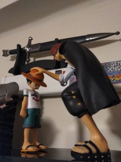 Customer photo review of Straw Hat Luffy & Red Hair Shanks