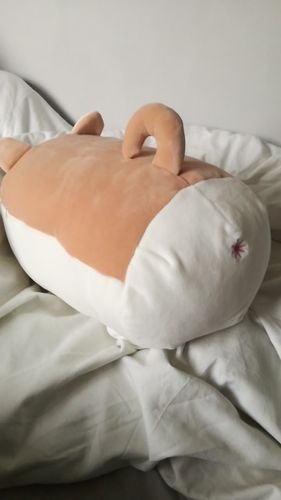 3 angry shiba pillow