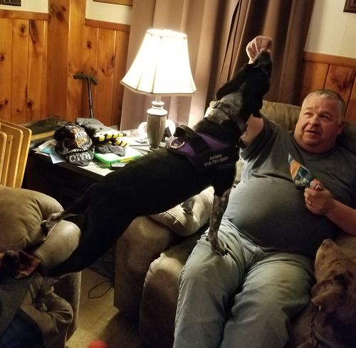 Customer photo review of Lifetime Warranty Personalized Doggykingdom® NO PULL Harness