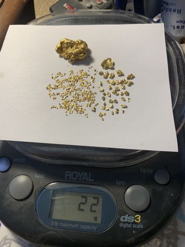 Customer photo review of *BOGO* Goldn Paydirt '$5,000 Nugget Giveaway' - Gold Panning Paydirt Concentrate