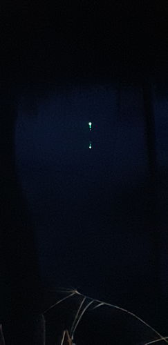 Customer photo review of 10g Smart Fishing Float