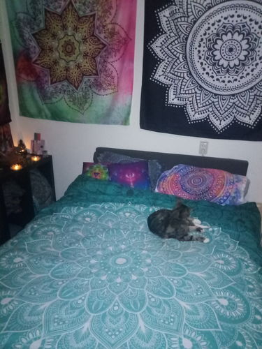 Customer photo review of Green White Mandala Pattern Bedding Set