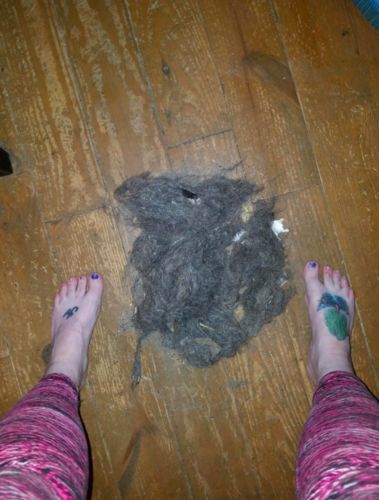 Customer photo review of BeaBos™ Broom (2020 Upgraded)