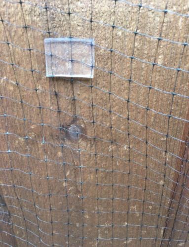 Customer photo review of BeaBos™ Tape