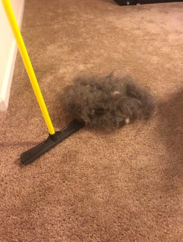 Customer photo review of BeaBos™ Broom (2020 Upgraded)