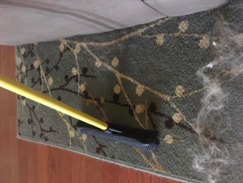 Customer photo review of BeaBos™ Broom (2020 Upgraded)
