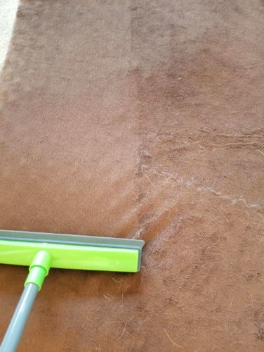 Customer photo review of BeaBos™ Broom (2020 Upgraded)