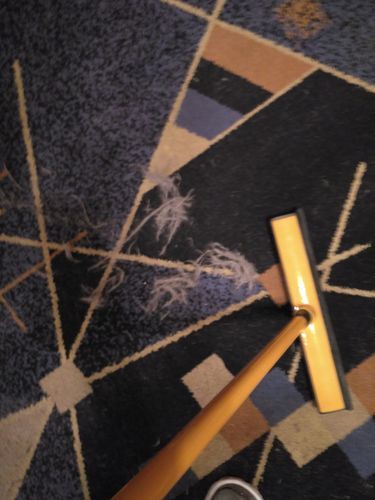 Customer photo review of BeaBos™ Broom (2020 Upgraded)