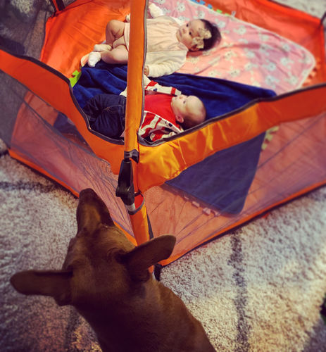 Customer photo review of Pop N' Go® Playpen
