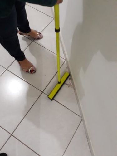 Customer photo review of BeaBos™ Broom (2020 Upgraded)