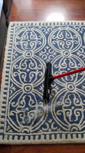 Customer photo review of BeaBos™ Broom (2020 Upgraded)