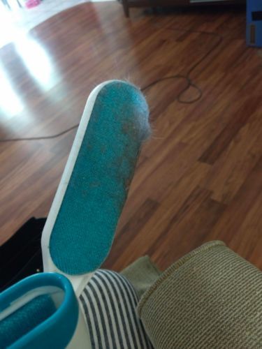 Customer photo review of BeaBos™ Pet Fur Remover