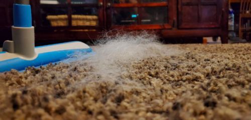 Customer photo review of BeaBos™ Broom (2020 Upgraded)