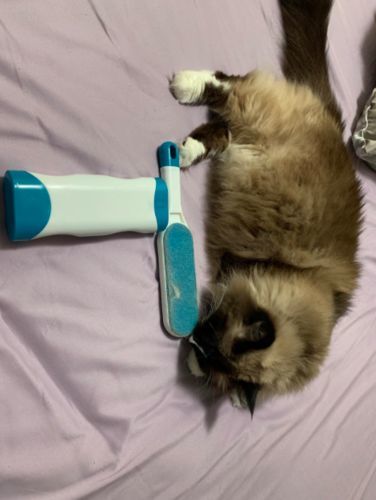 Customer photo review of BeaBos™ Pet Fur Remover