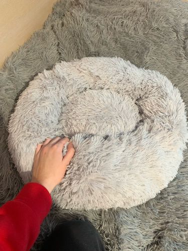 Customer photo review of Comfy Pet Bed Calming High Stretch Soft Faux Fur for Dogs Cats