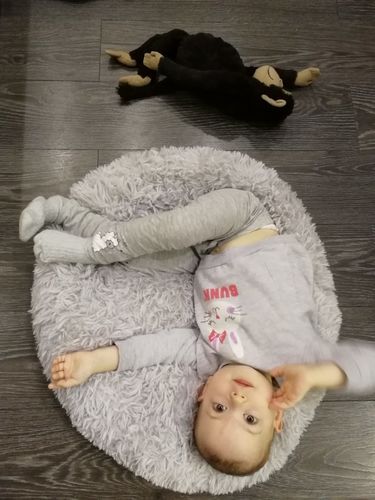 Customer photo review of Comfy Pet Bed Calming High Stretch Soft Faux Fur for Dogs Cats